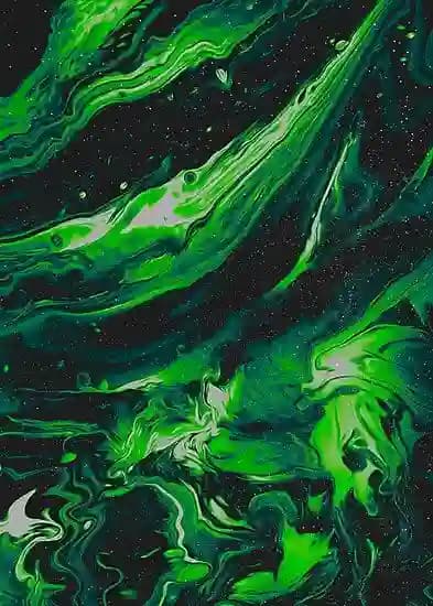 Profile Header